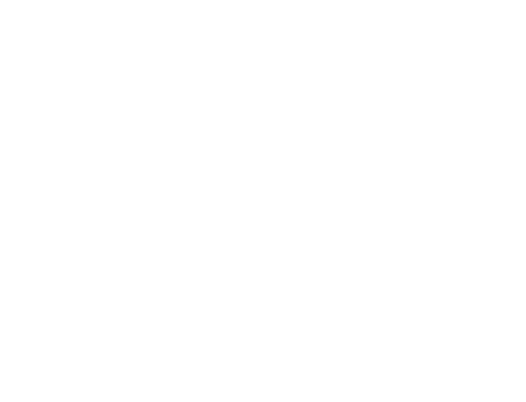 Flash Site — Website & Marketing